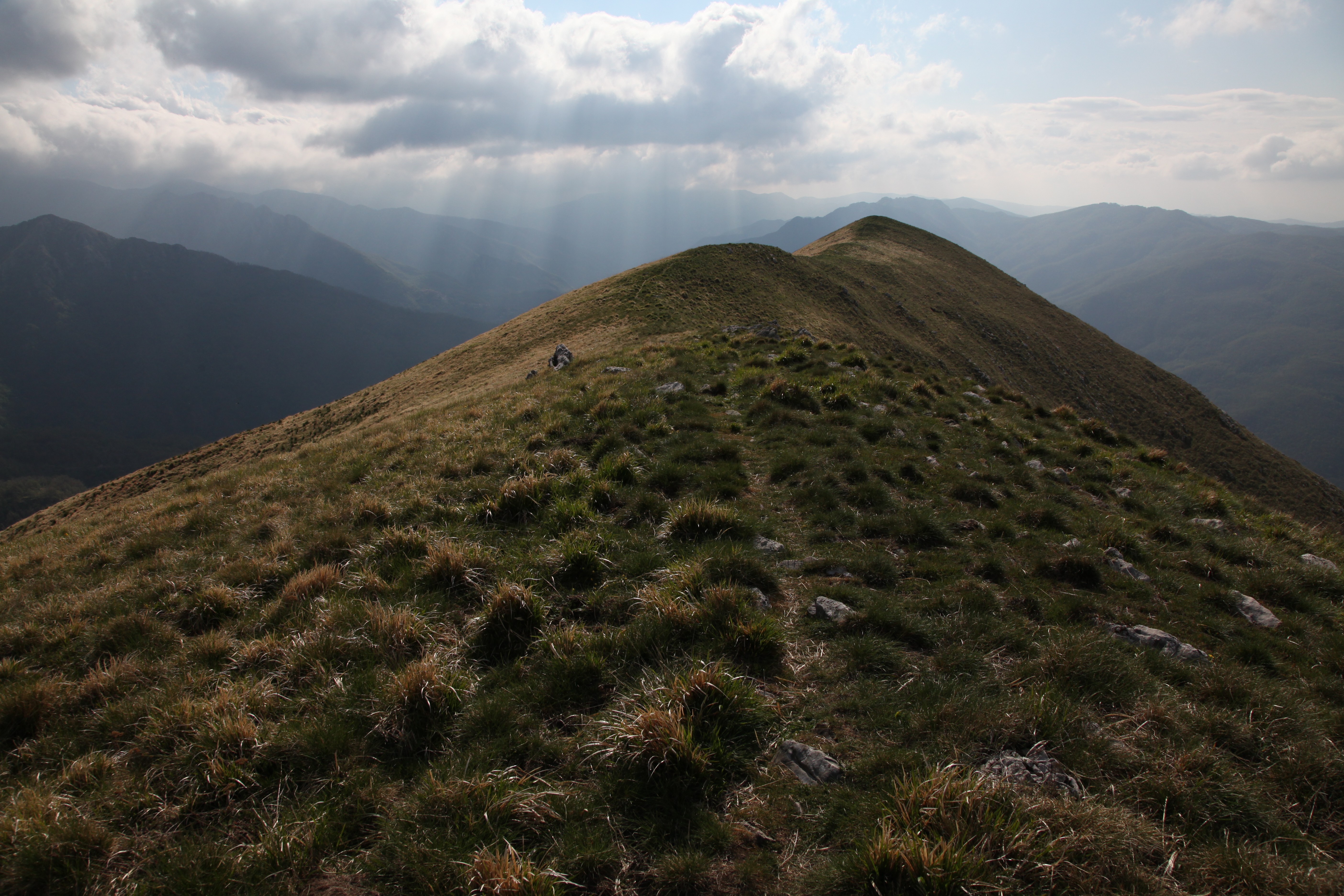 Landscape film still